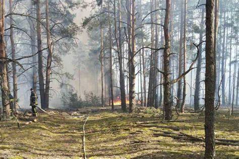 Gyventojų sveikatai įtakos iliustracija