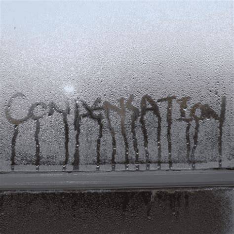 condensation_klausimai_informacija