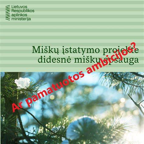 Medienos pramonės plėtojimosi tendencijos infografika