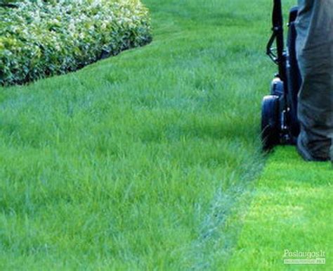 Vejos priežiūra ir tręšimas