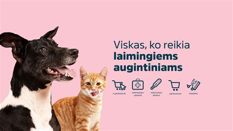 infografika-slapukai-ir-miego-priezastys