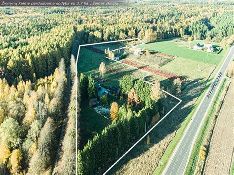 Infografika: plyšių sandarinimo procesas rąstiniu namu