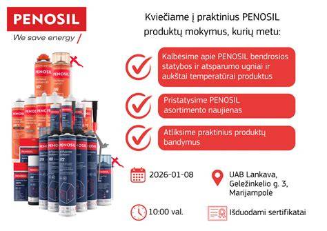 Infografika: Penosil produktų įvairovė langų sandarinimui