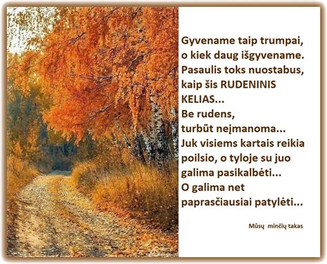 Skardinės medžiagos ir įrankiai kartais laikomi sandėlyje, paruošti pristatymui į objektus