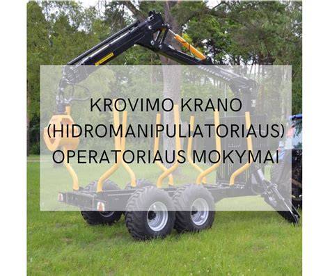 Diagram: lauko krano automatinio išsituštinimo principas