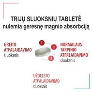 Trijų sluoksnių sandarinimo principo schema