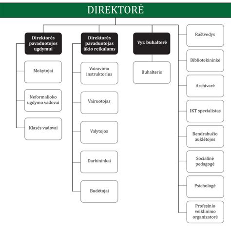 Darbo vietos organizavimo schema