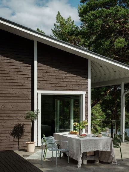 Medinio fasado dažymas