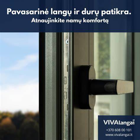 Infografika: durų sandarumo perimetro ureikšmė ir tarpiklių tipai