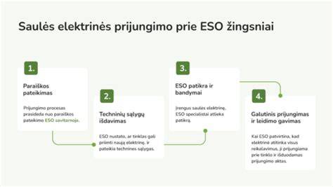 Infografika: Paraiškos procesas ir reikalavimai