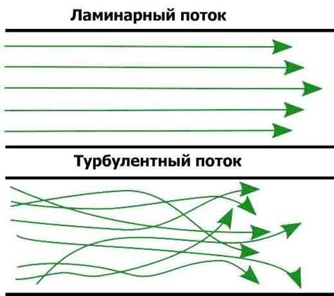 Infografika: Ortakių izoliacijos principas
