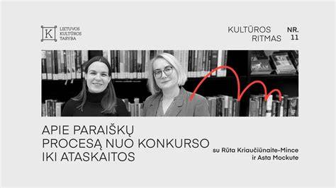 Infografika apie tinkavimo procesą (parengiamas kelias etapas nuo pažeidimo identifikavimo iki galutinio tinko džiūvimo)