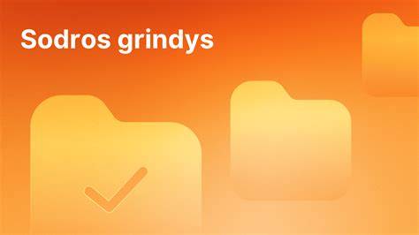 Infografika: kaip veikia SODROS grindys
