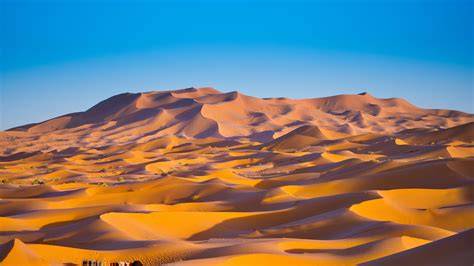 Sahara desert image showing vast golden dunes and blue skies