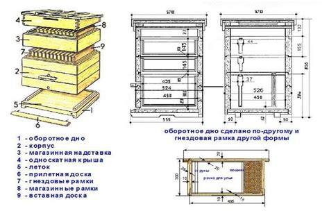 12 rėmų Dadano avilio brėžiniai su nuimamu dugnu
