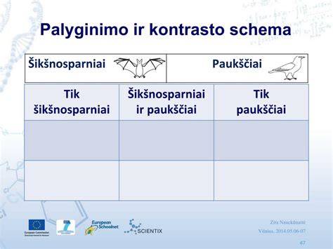Grindjuosčių tipų palyginimo schema