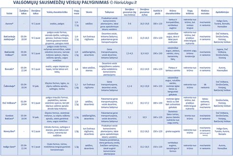 Palyginamoji lentelė: Epoksidinių klijų savybės