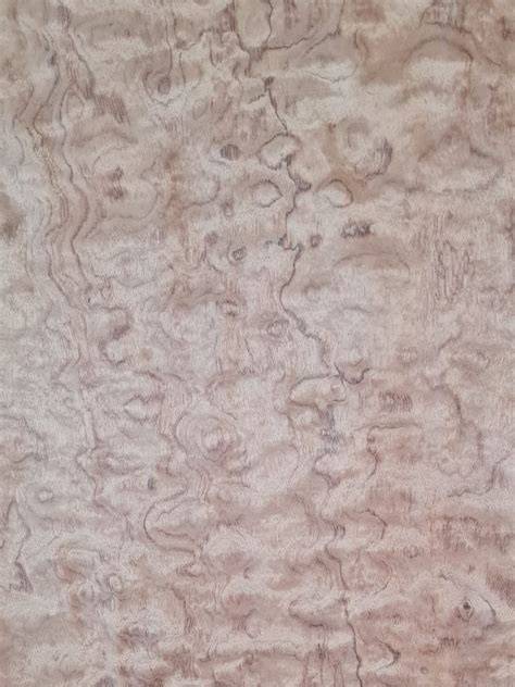 Bubinga medienos paviršiaus brėžinys