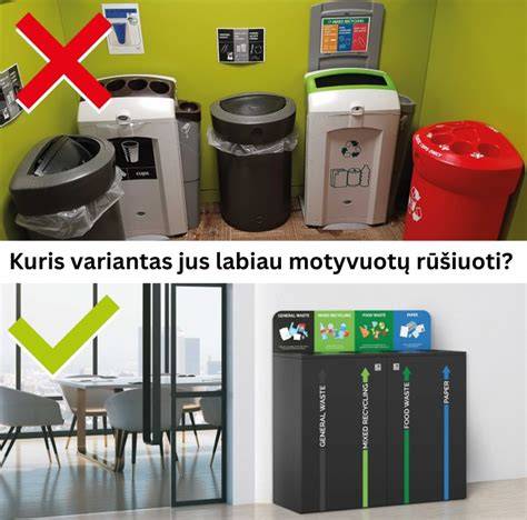 Infografika: Medienos atliekų rūšiavimas ir perdirbimo keliai