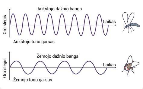 Luminescencijos ir triukšmo palyginimo grafikas