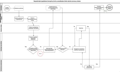 Elektrolitinio poliravimo proceso schema
