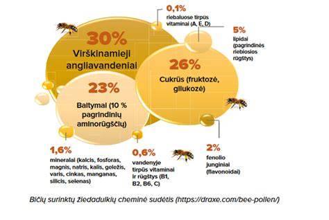 Infografika: Porotherm blokelių sandara ir jų nauda mikroklimatui