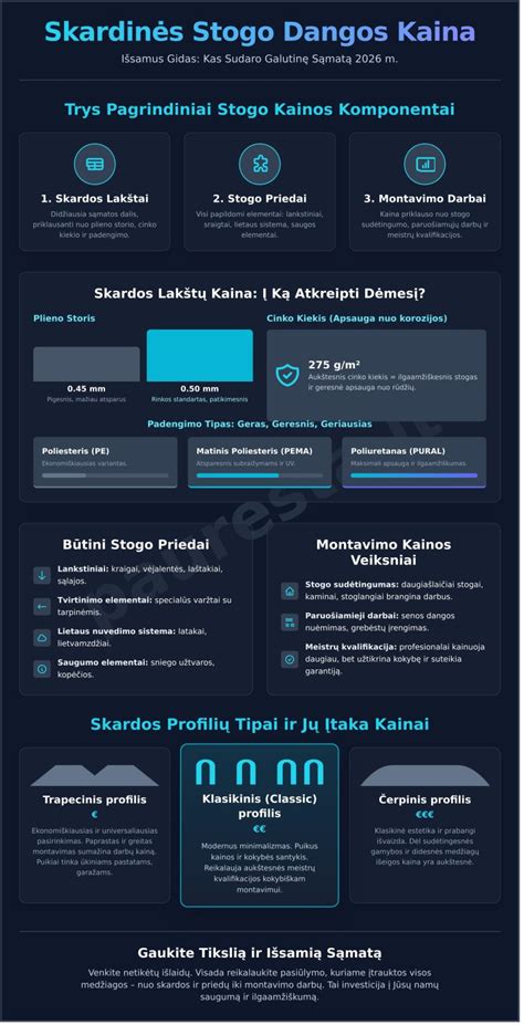 stogo-dangos-priemones-infografika