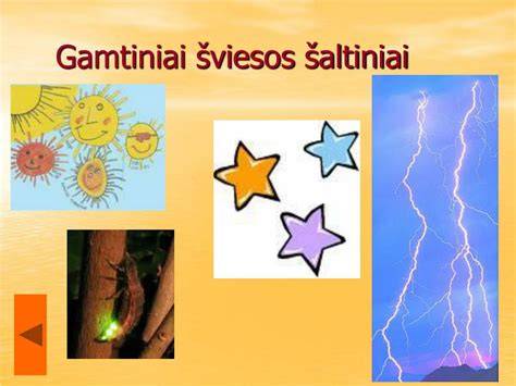 Gamtiniai šaltiniai: mineralinės vatos struktūra ir plokščių tipai