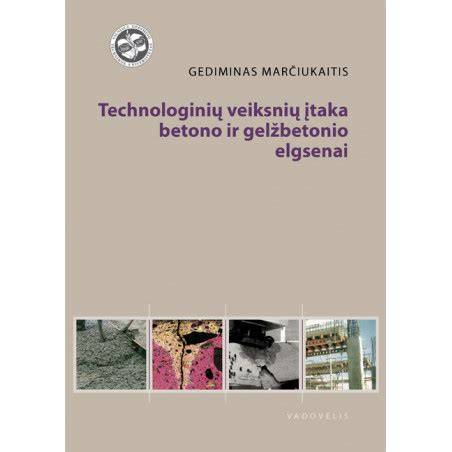 Infografika: Pagrindiniai komponentai ir jų įtaka betono savybėms