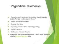 Infografika: pagrindiniai duomenys apie grindų šildymą