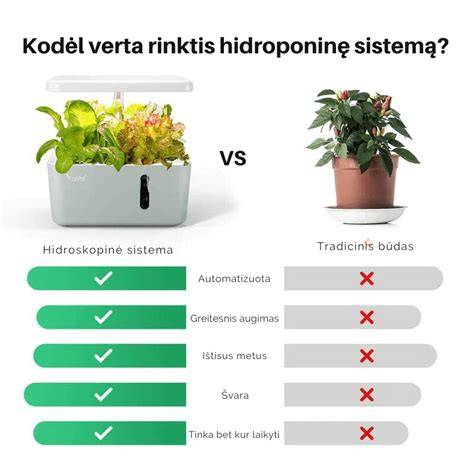 Infografika: Gelžbetonio konstrukcijų pagrindai ir naudojimo virtuvėse privalumai