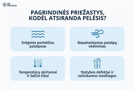 Kamštinio vamzdžio pašalinimas namuose: pagrindinės priežastys ir žingsniai