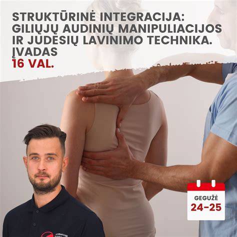 Infografika: DDR anatomijos schematis, paviršinių ir giliųjų struktūrų išdėstymas