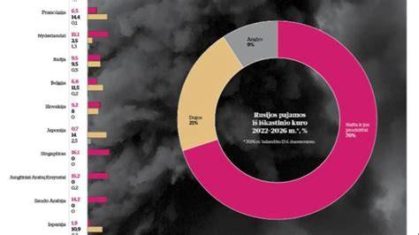 Infografika: Tepalo nuotėkio priežastys iš turbinos į interkulerį
