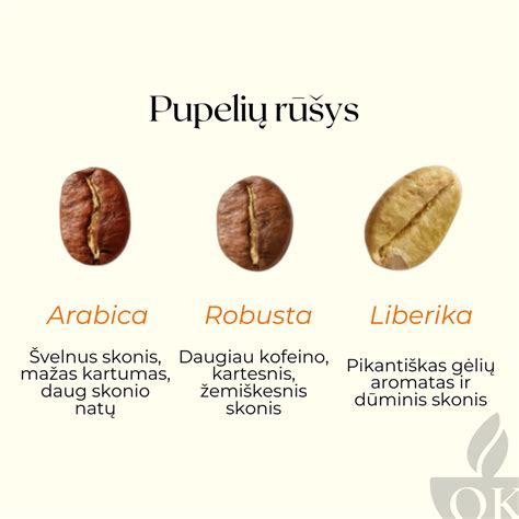 Infografika: Lęšių rūšys ir virimo laikas