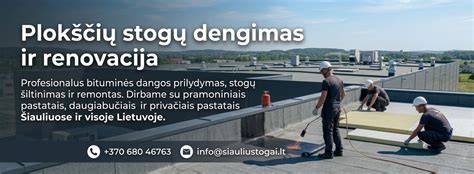 Infografika: Plokščių stogų hidroizoliacijos pasirinkimo kelias