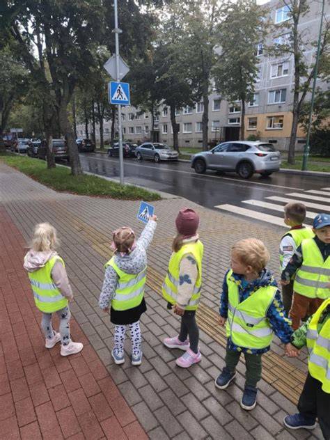 Vaizdas: kelio ženklų sistema ir jų grupių spalvų kodai