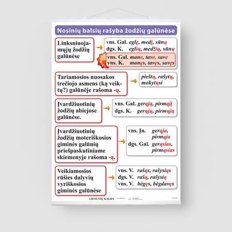 Infografika apie nosinių balsių vietas įvardžiuotinių būdvardžių galūnėse