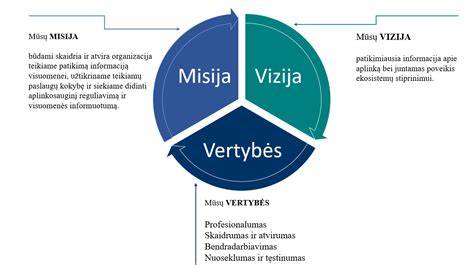 Infografika: Misija, Vizija, Vertybės santykiai