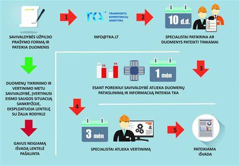 Infografika: S line salono elemento įrengimo procesas