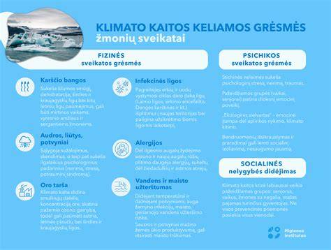 Infografika: Vaizdinė medžiaga apie vamzdžių laikiklių tipus ir jų taikymą