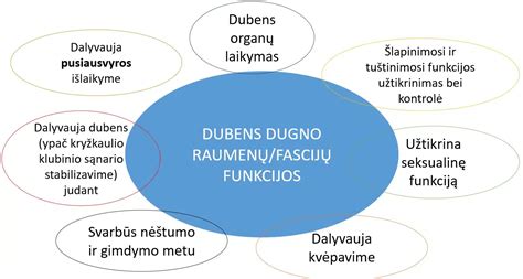 Infographic: Kaip veikia dubens dugno treniruokliai ir jų pagrindinės funkcijos