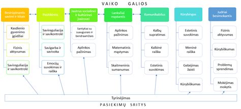 Makrofibros pavyzdys ir taikymo sritys