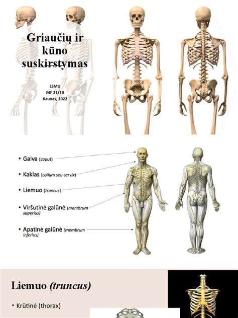 Infografika: ugnikalnių tipų skirstymas ir jų susidarymo schemos