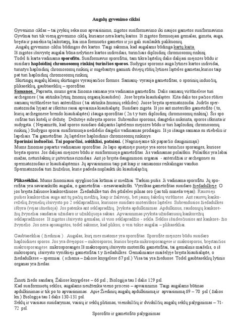 Infografika: skirtingų kelio dangų gyvenimo ciklai ir eksploatacijos rodikliai