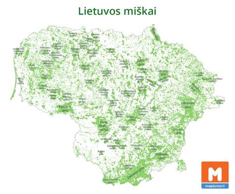 Miško plotų pasiskirstymas Lietuvoje infografika: spygliuočiai, lapuočiai, regioniniai skirtumai