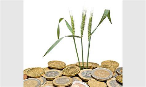 Finansinių rezultatų dinamika 2023-2025 m. (pajamos, pelnas, nuostoliai)