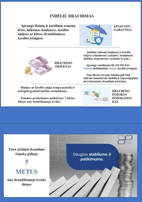 Infografika: kapiliarų reguliavimas ir šilumos draudimas