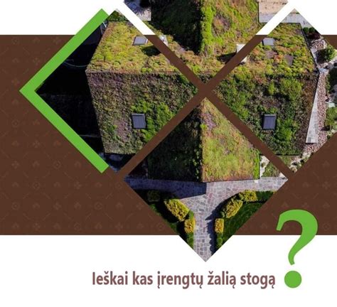 Infografika: žalias stogas sutapdintam stogui