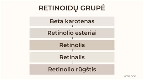 Betonocret priedas ir jo veikimas
